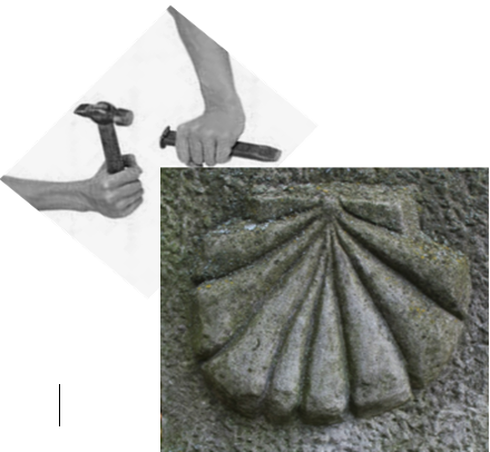 Collage de acciones y encuentros de la Asociación