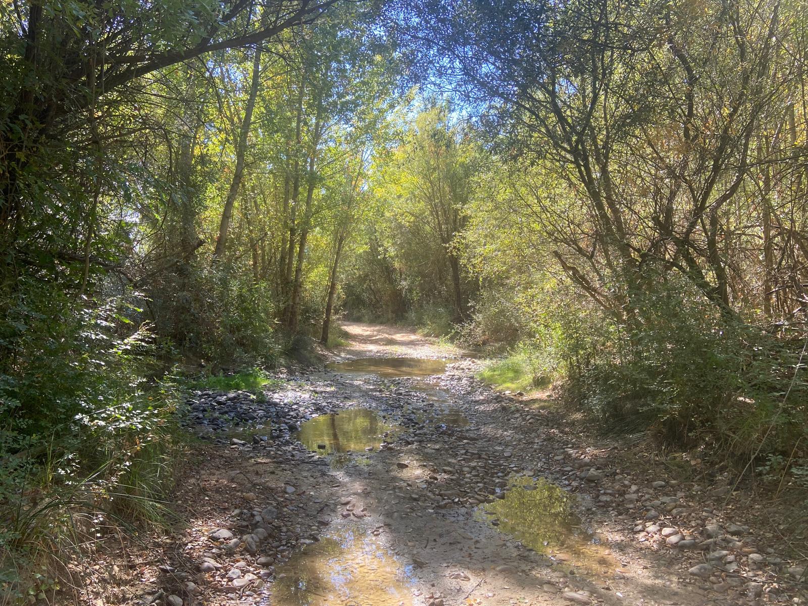 Camino Complutense - Foto 16